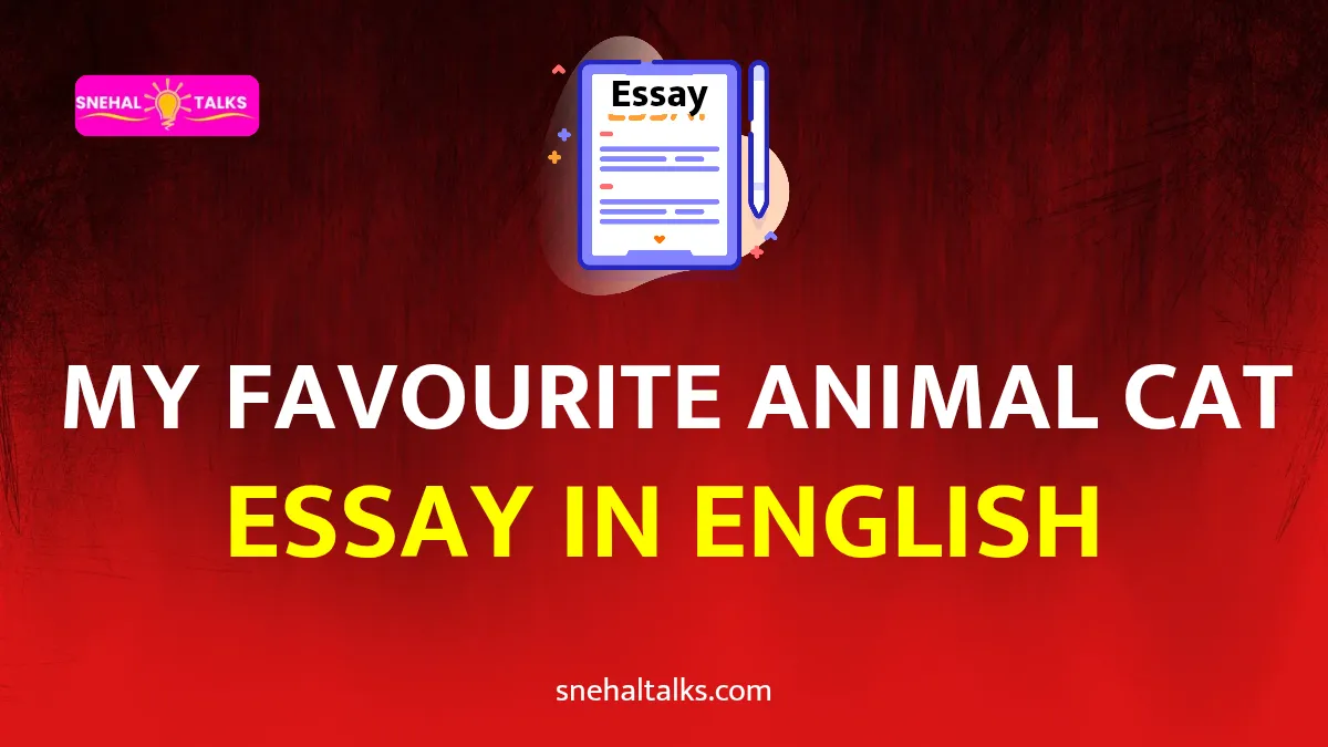 My cat essay in English
